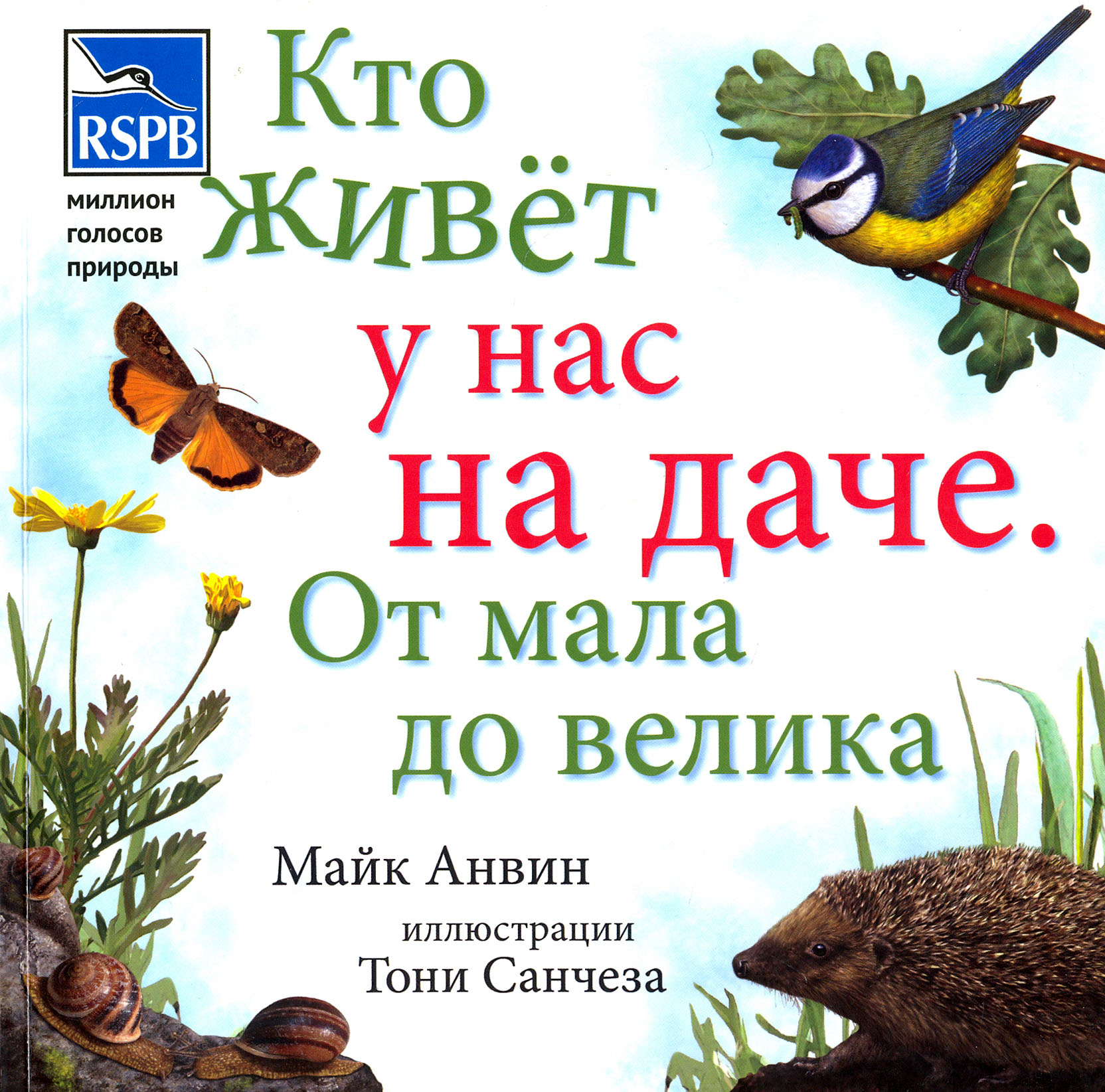 Кто живет у нас на даче. От мала до велика - фото №4