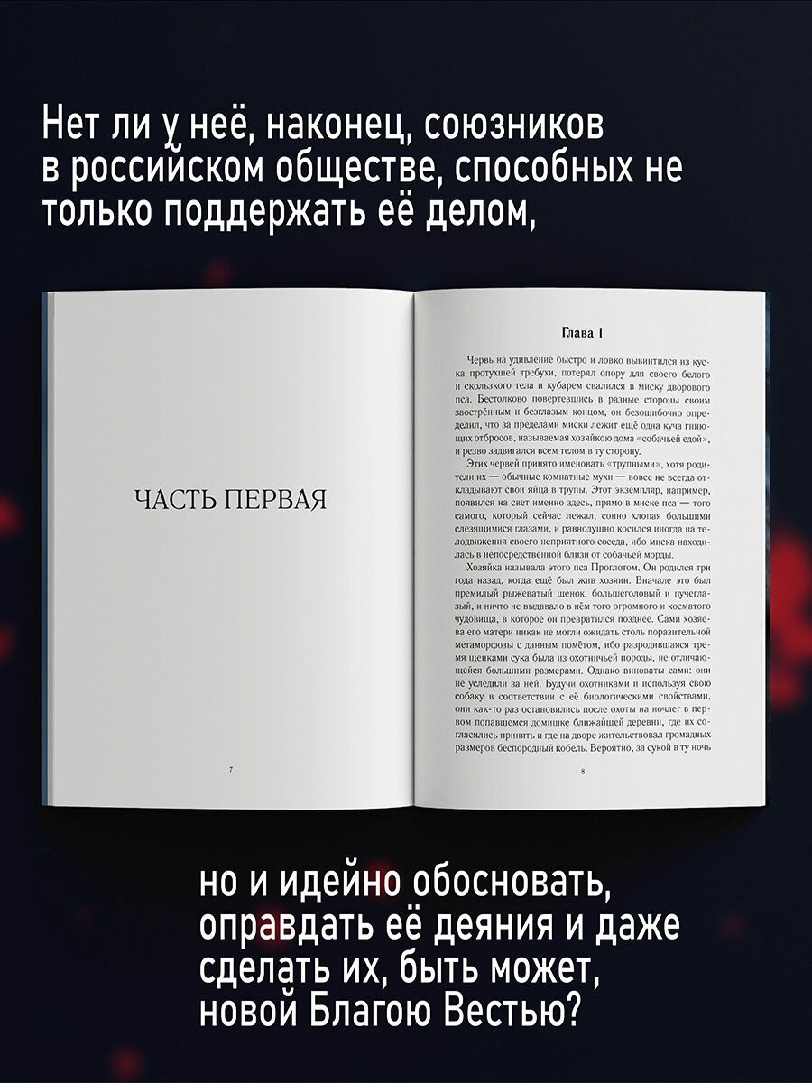 Лярва (Иринарх Кромсатов) - фото №8