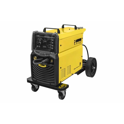 Полуавтомат кедр AlphaMIG-250S-1 30250А 220В 19775000₽