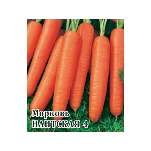 Семена Морковь Нантская 4, 25г, Гавриш, Фермерское подворье, 5 пакетиков