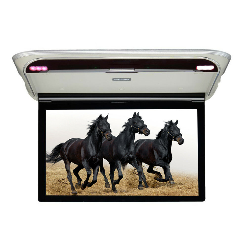 фото Автомобильный потолочный монитор 15.6" Ergo ER15M серый