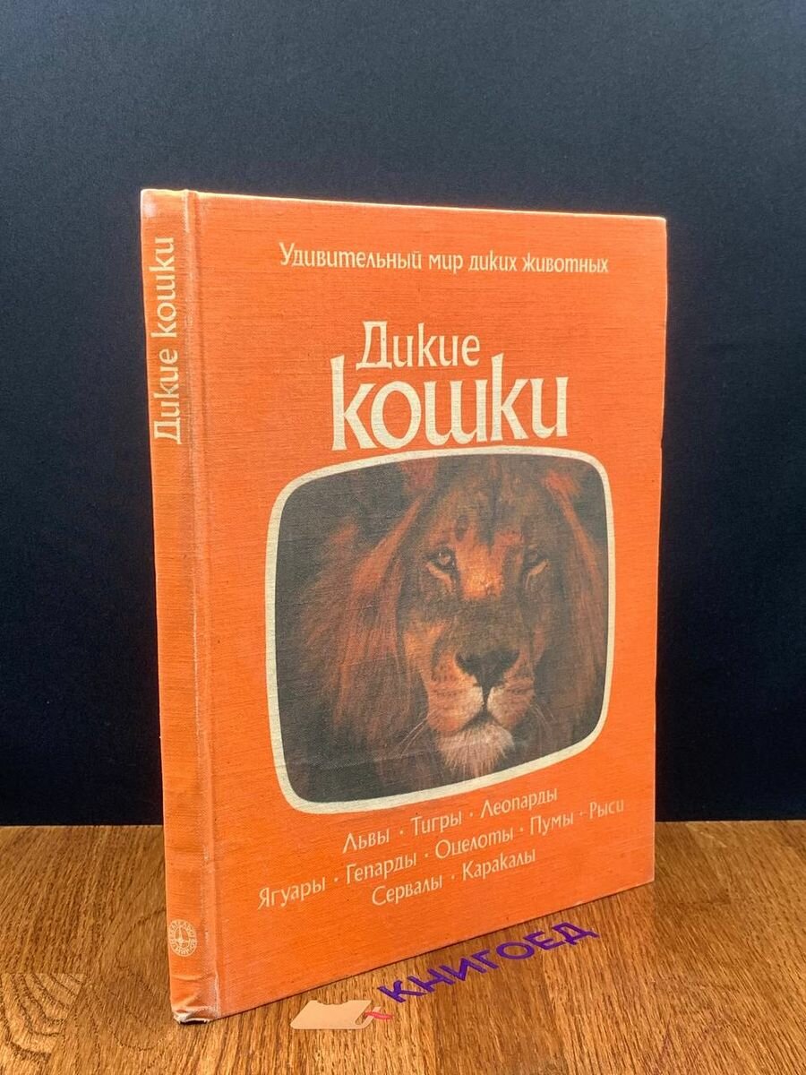 Дикие кошки 1981