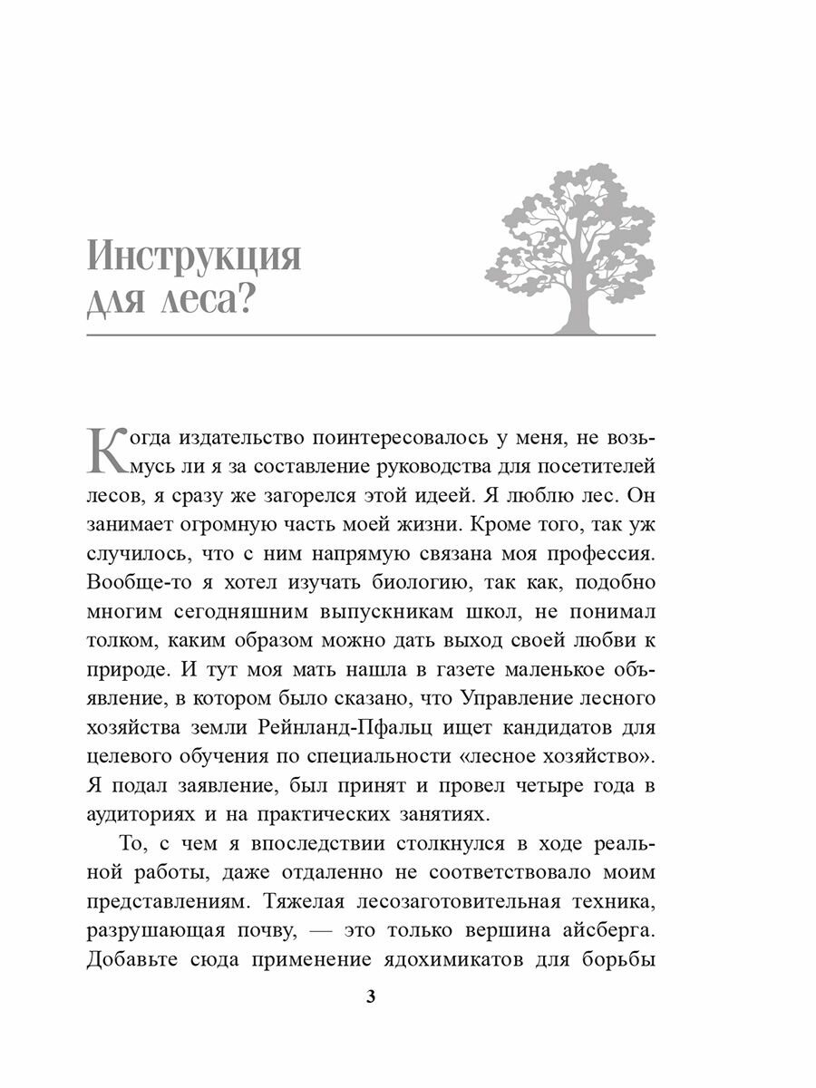 О чём шумит лес? (Воллебен Петер, Борич Сергей Э. (переводчик)) - фото №5