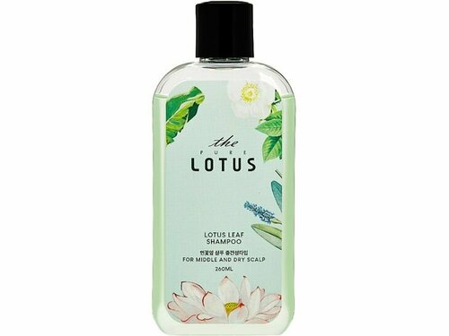 Шампунь для чувствительной и сухой кожи головы THE PURE LOTUS Lotus Leaf Shampoo for Middle & Dry scalp