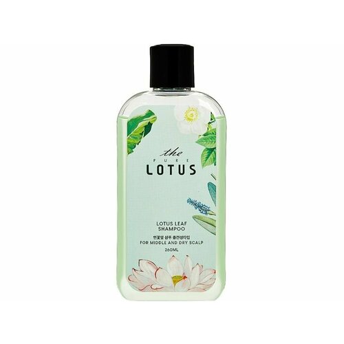 Шампунь для чувствительной и сухой кожи головы THE PURE LOTUS Lotus Leaf Shampoo for Middle & Dry scalp