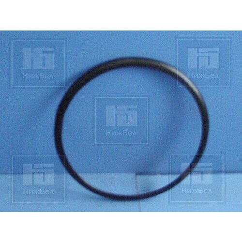 ACCURIDE 53203101027 Кольцо бортовое КАМАЗ-5320,5511 (бездиск. колеса) (Аккурайд уилз)