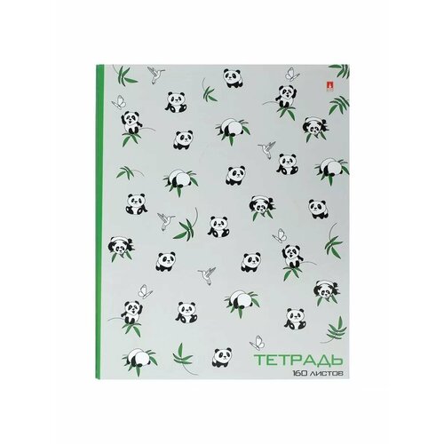 Тетрадь на кольцах 160 листов 743₽