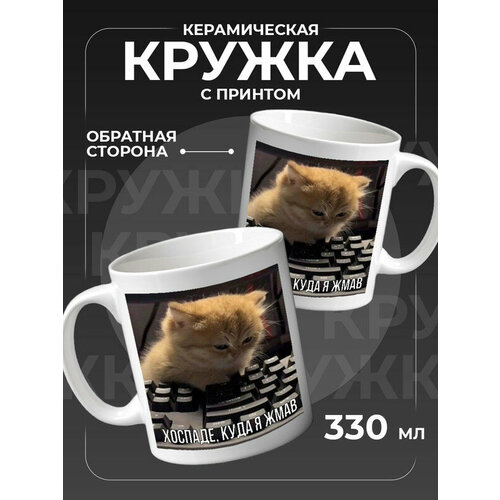Керамическая кружка с котиком мем 750₽