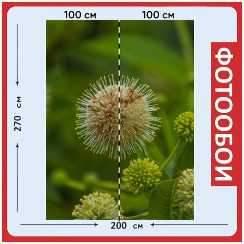 Фотообои Завод зеленый белый 200x270 см флизелиновыена стену 2980₽