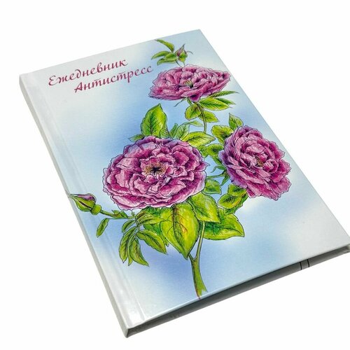 Ежедневник антистресс ACTION А5 112 страниц 249₽