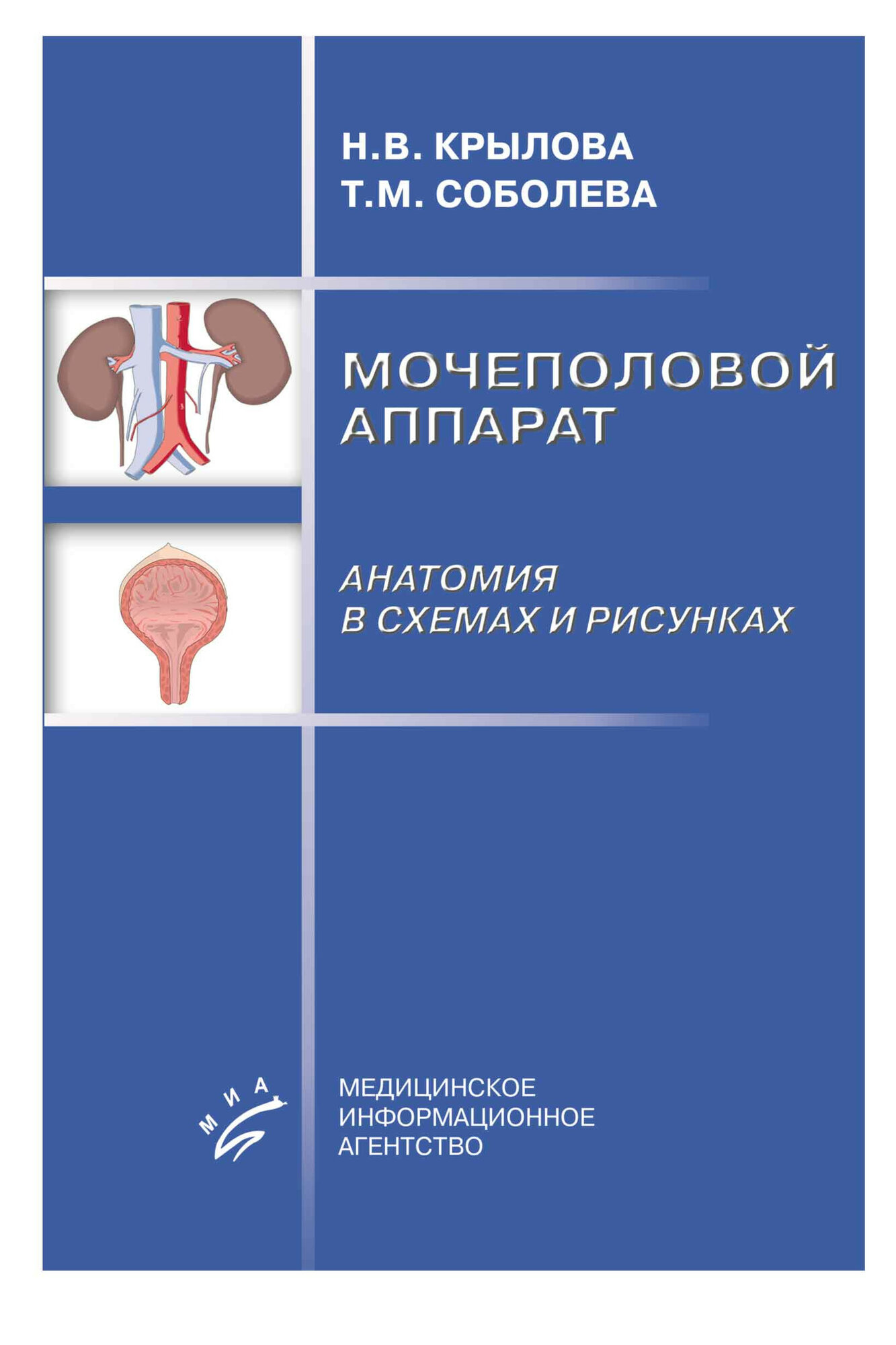 Мочеполовой аппарат. Анатомия в схемах и рисунках
