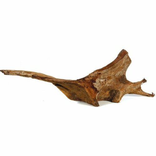 Натуральная мангровая коряга Aquael MANGRO L 30-60см 3530₽