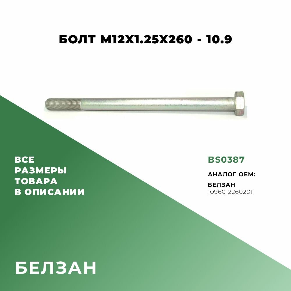 Болт M12х260х125-10.9; ОЕМ:1096012260201; BS0387