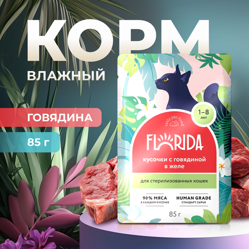 Влажный корм Florida пауч для стерилизованных кошек с Говядиной в желе 85г