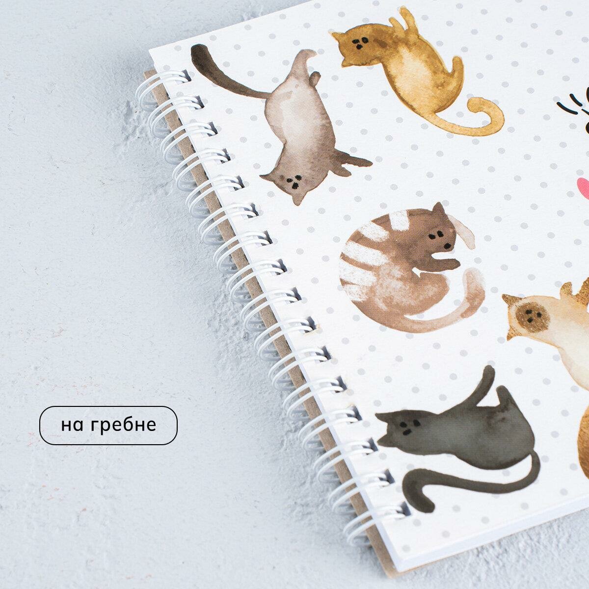 ArtFox Скетчбук "Кот" А5, 40 л, 100 г/м, состав: бумага, картон — фото 1