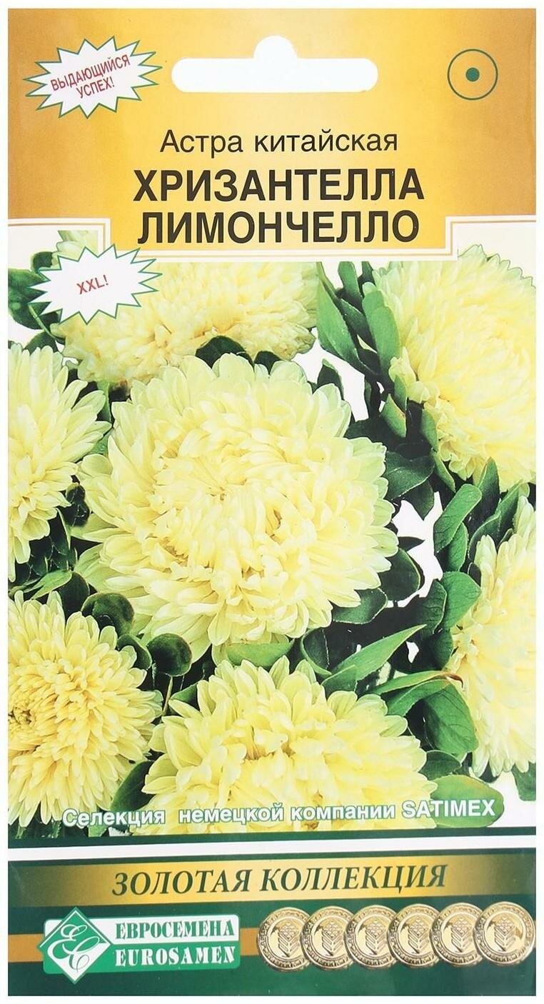 Семена Цветов Астра китайская Хризантелла Лимончелло 5 шт