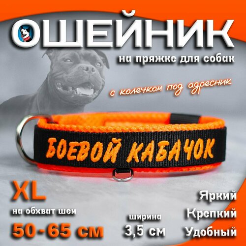 Ошейник для собак Buddy team на пряжке, с вышивкой боевой кабачок, ширина 3,5 см, с мягким подкладом для средних и крупных пород, размер XL