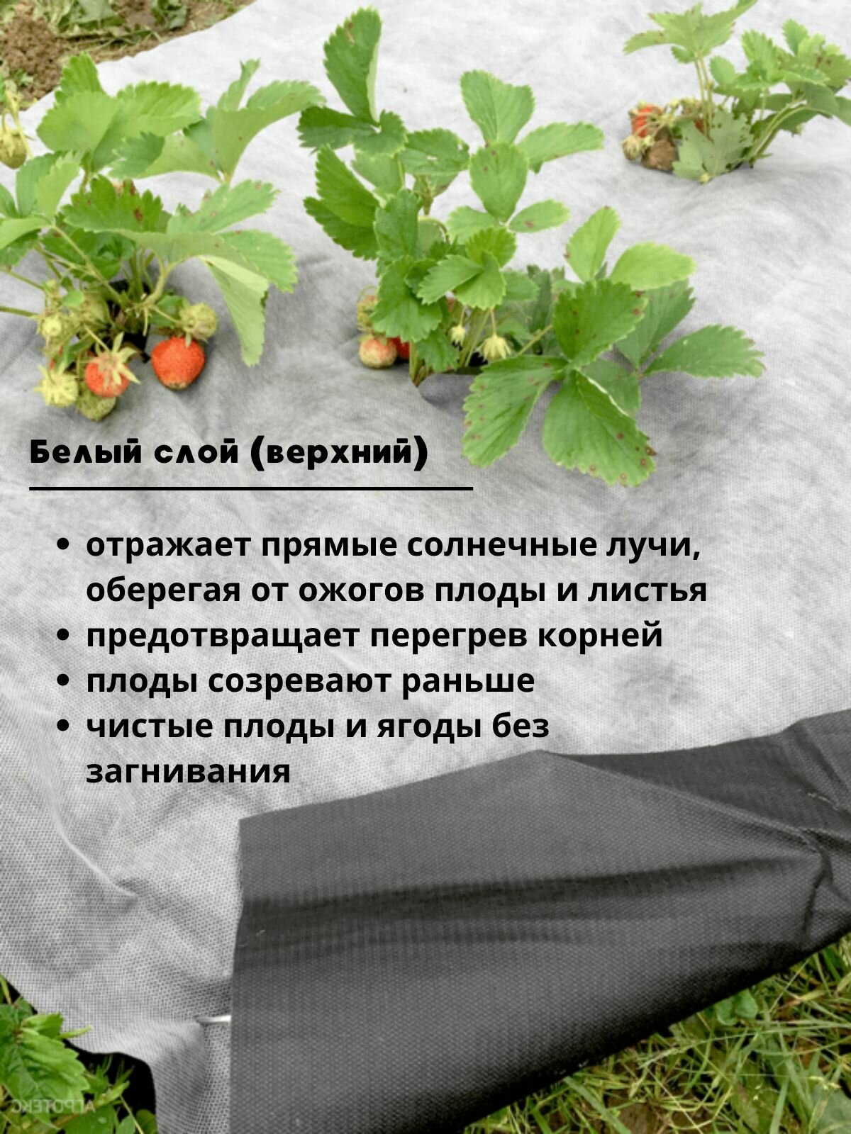 Агроткань от сорняков Агротекс застилочная, черно-белая 80 г/м2 с УФ 1,6 х 5м — фото 1