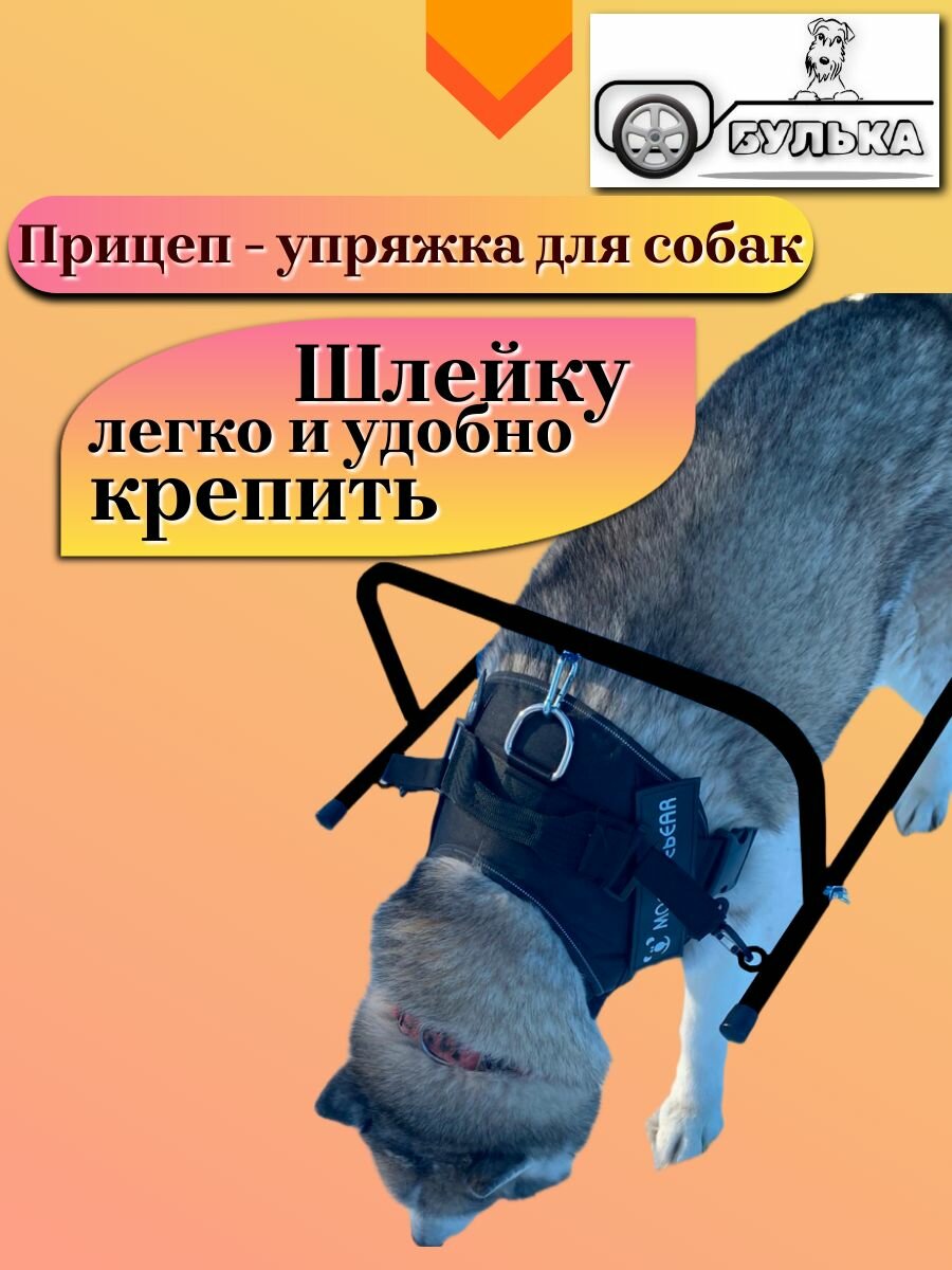 Прицеп - упряжка для собак Булька — фото 1