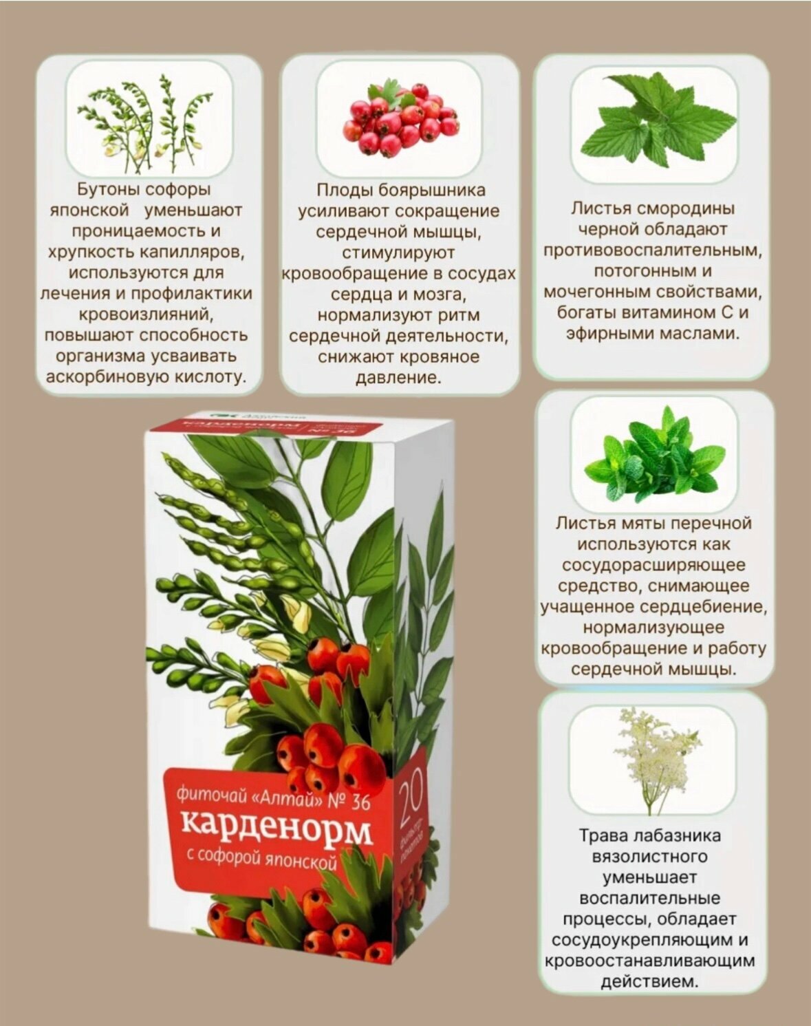 Бад Фиточай Фиточай Алтайский кедр "Карденорм" №36, софора, БАД, фильтр-пакеты, 20 штук