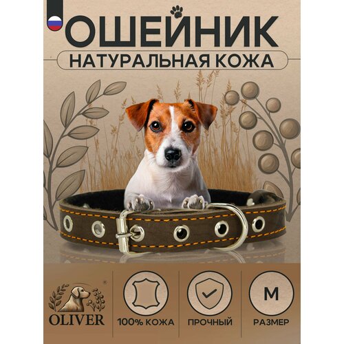 Ошейник для собак Oliver из натуральной кожи на мягкой подкладке из синтепона / M / Коричневый