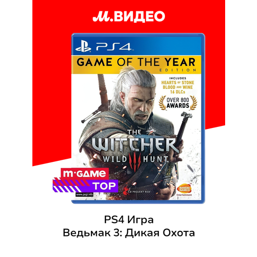 CD Projekt RED The Witcher 3: Wild Hunt-Game of the Year Edition