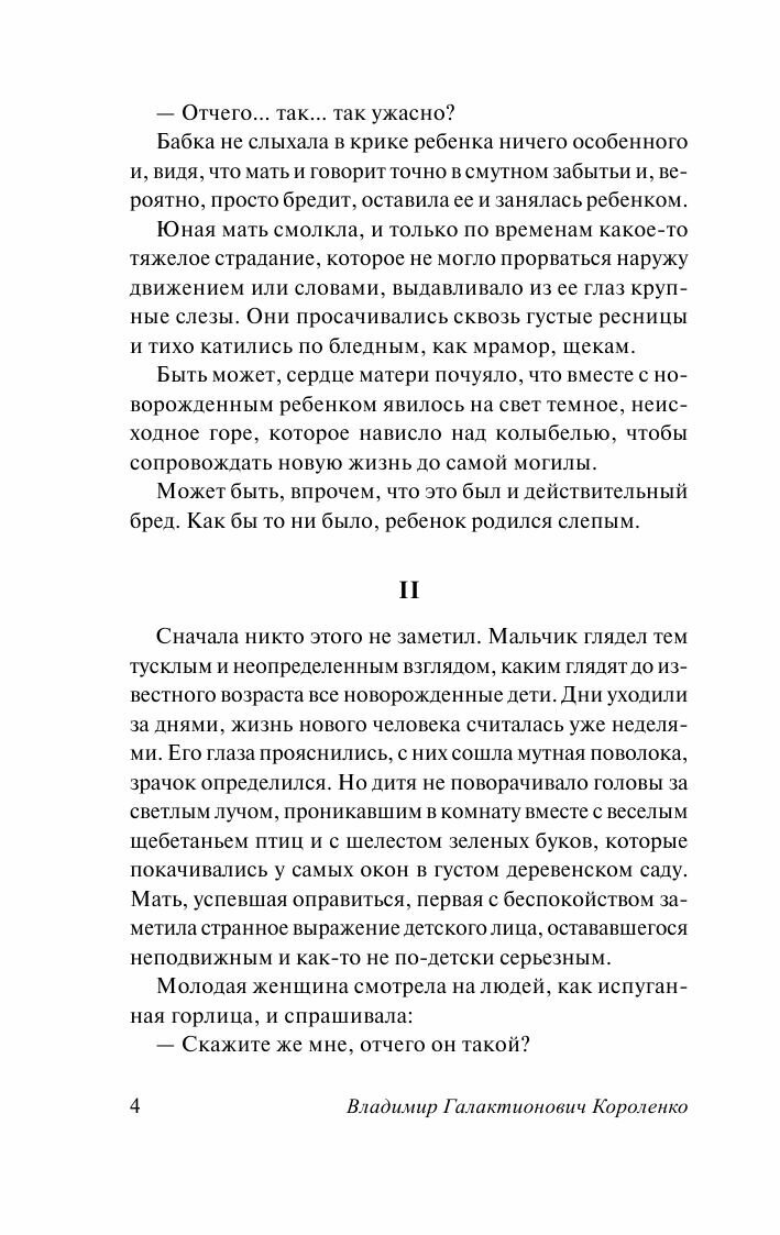 Дети подземелья (Короленко Владимир Галактионович) - фото №6