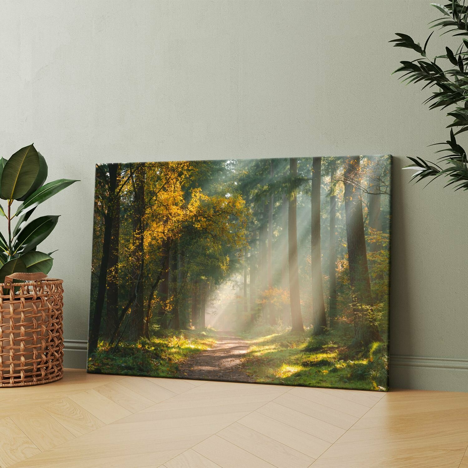 Картина на холсте (Утро в осеннем лесу лес, солнце, рассвет, тропа освещенная) 40x60 см. Интерьерная, на стену.