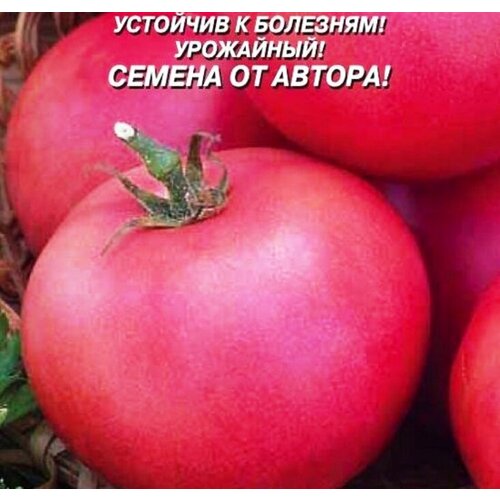 Томат F1 Платина 217₽