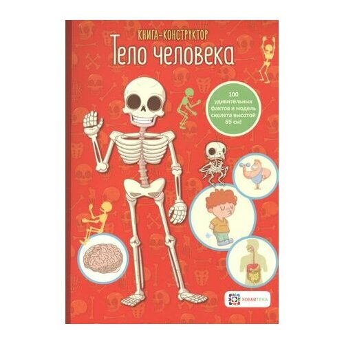 Книга-конструктор. Тело человека энциклопедии росмэн книга тело человека визуальный гид