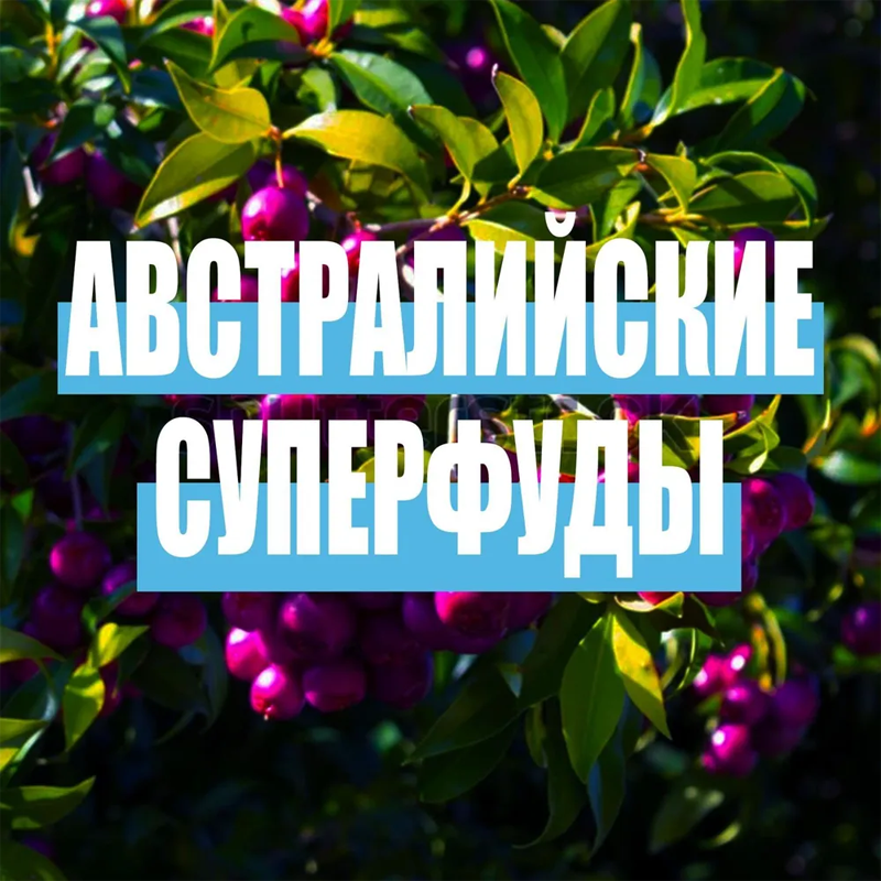 Средство для волос Aussie SOS 3 Minute Miracle для интенсивного ухода для поврежденных длинных волос, 225 мл - фото №18