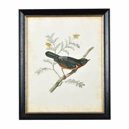 Постер G&C 47*3*57 см, 55933