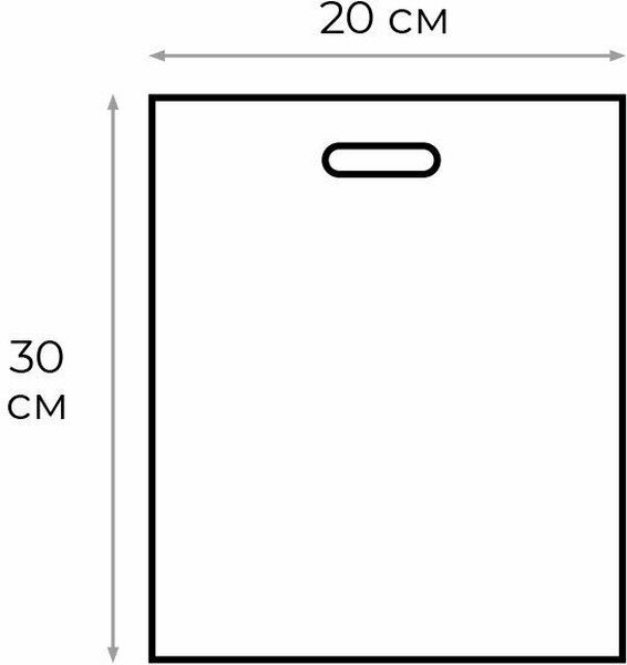 Пакет с вырубной неукрепленной ручкой 30*20см (30мкм) Аксессуар - 100 шт.