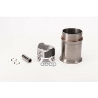 Группа Поршневая Паз-3205 На Дв.змз-523 (4Шт.) Без Колец G-Part (Оао   ...