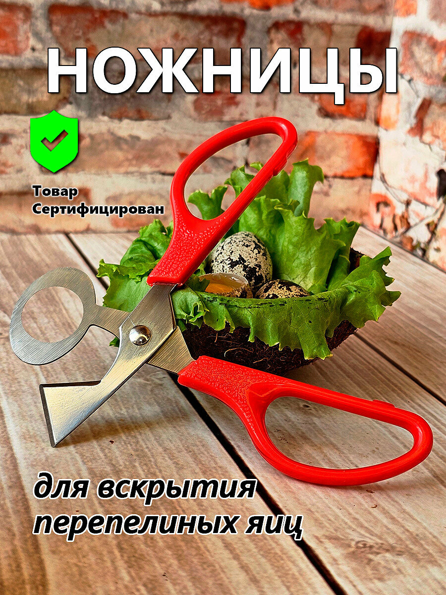 Ножницы для вскрытия перепелиных яиц IFedo (красные) для кухни
