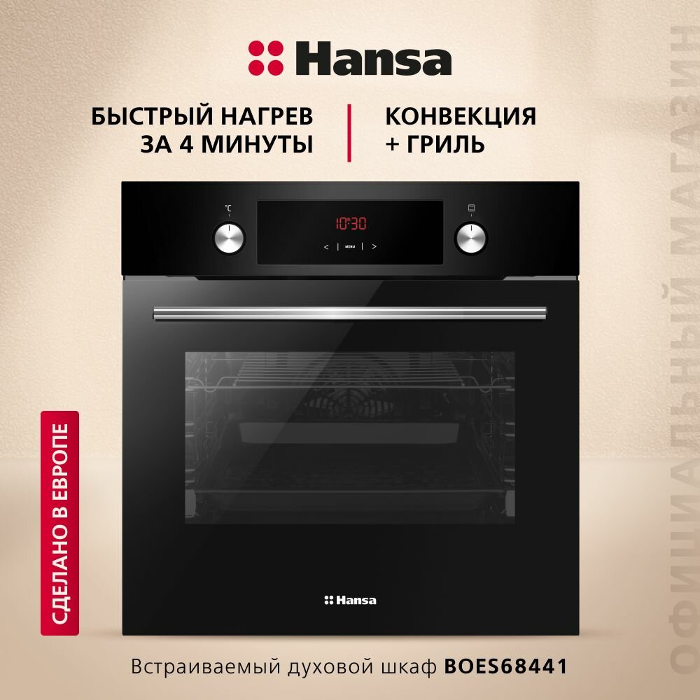 фото Электрический духовой шкаф Hansa BOES68441