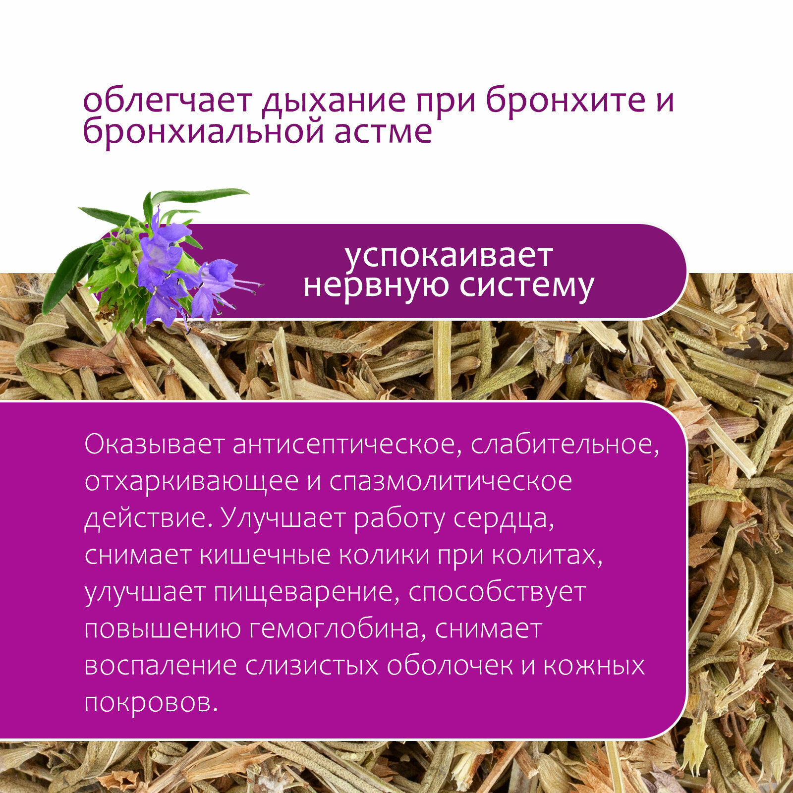 Стоматологические Лекарственные Травы Иссоп лекарственный трава сушеная, 80г