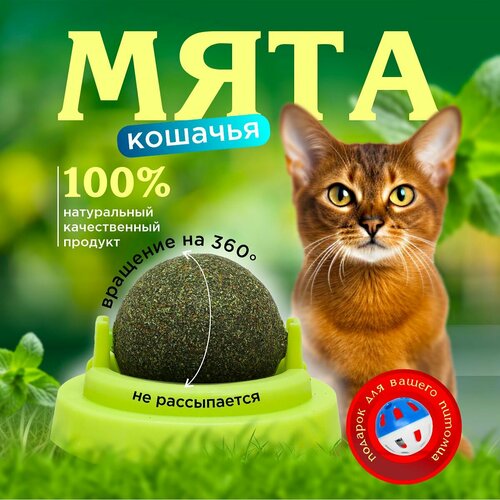 Кошачья мята / Шарик с кошачьей мятой на стену / Лакомство для кошек