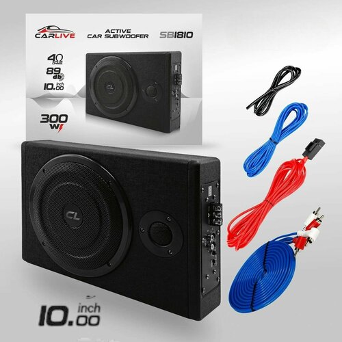 Активный Cабвуфер 10 дюймов автомобильный под сиденье с усилителем звука.