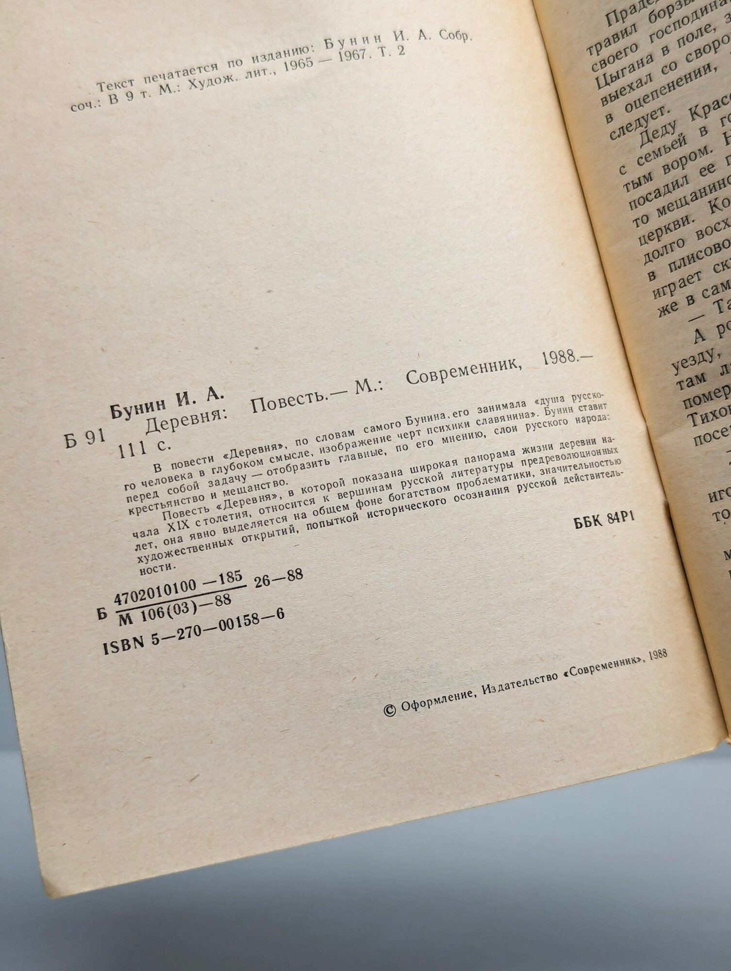 Деревня — фото 1