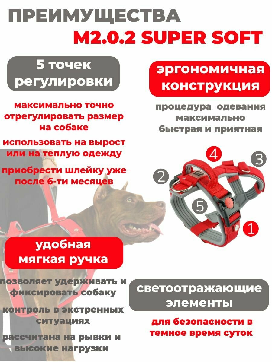 Шлейка с ручкой и мягким подкладом для собак прогулочная анатомическая, CORADOG M 2.0.2. , размер R6, цвет красный, серый — фото 1