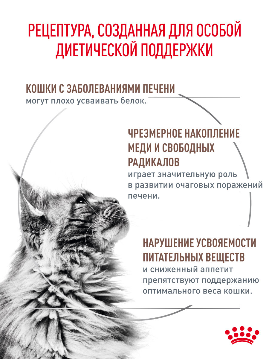 Сухой корм для кошек Royal Canin Hepatic при заболеваниях печени, 0,5 кг — фото 1