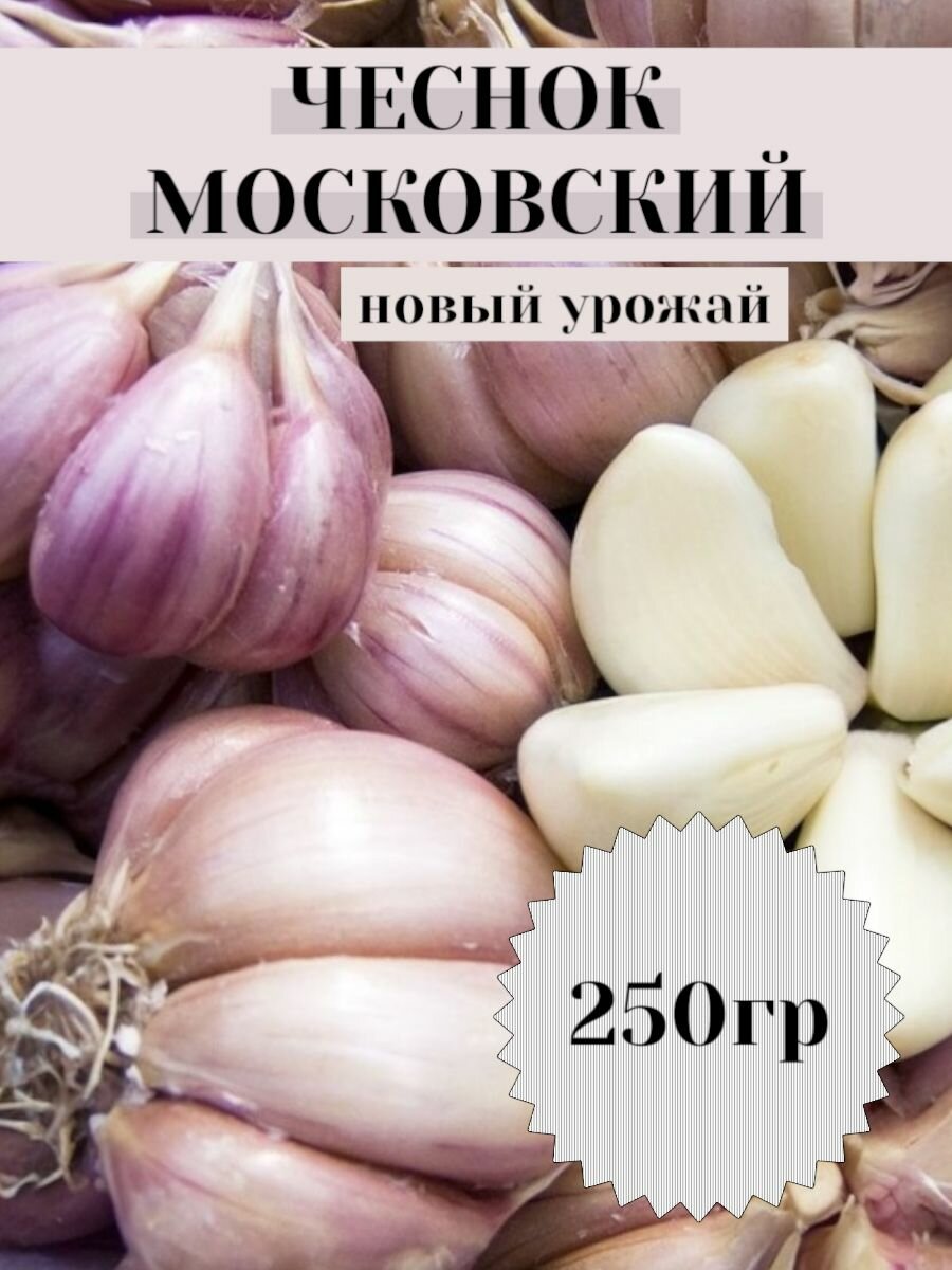 Чеснок на посадку озимый / Сорт отборный/ Московский для посадки осенью 025кг