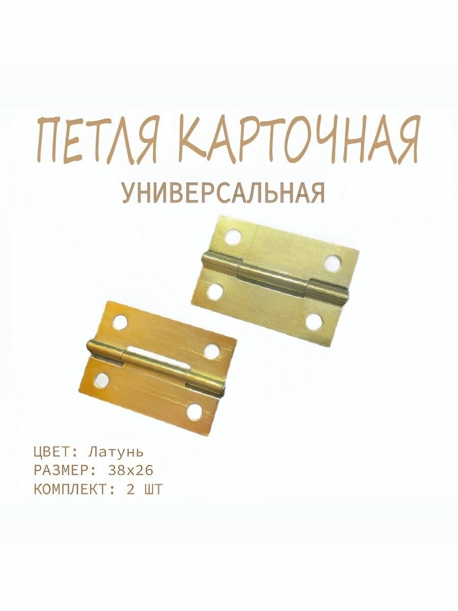 Петля карточная 2 штуки 38x26 мм