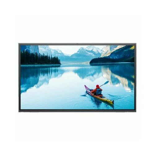 Профессиональный дисплей GoodView GM86H1