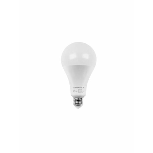 Светодиодная (LED) лампа AKKOSTAR A70-15W-E27 (6500K)