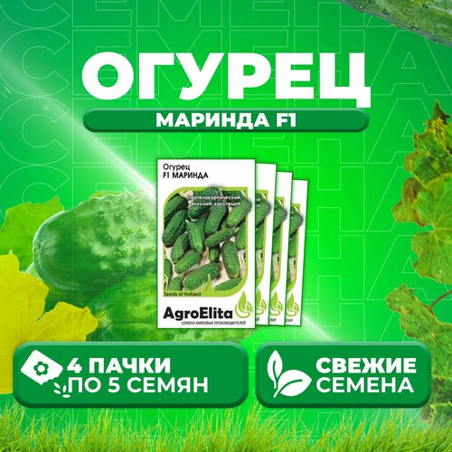 Огурец Маринда F1, 5шт, AgroElita, Seminis (4 уп) огурец мареса f1 5шт agroelita seminis 4 уп