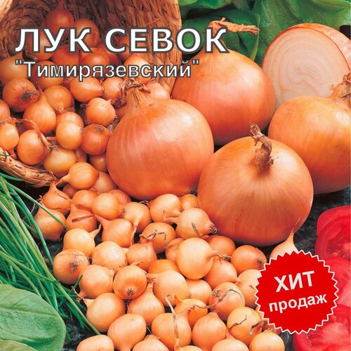 Лук севок на посадку "Тимирязевский" 500 гр золотистый