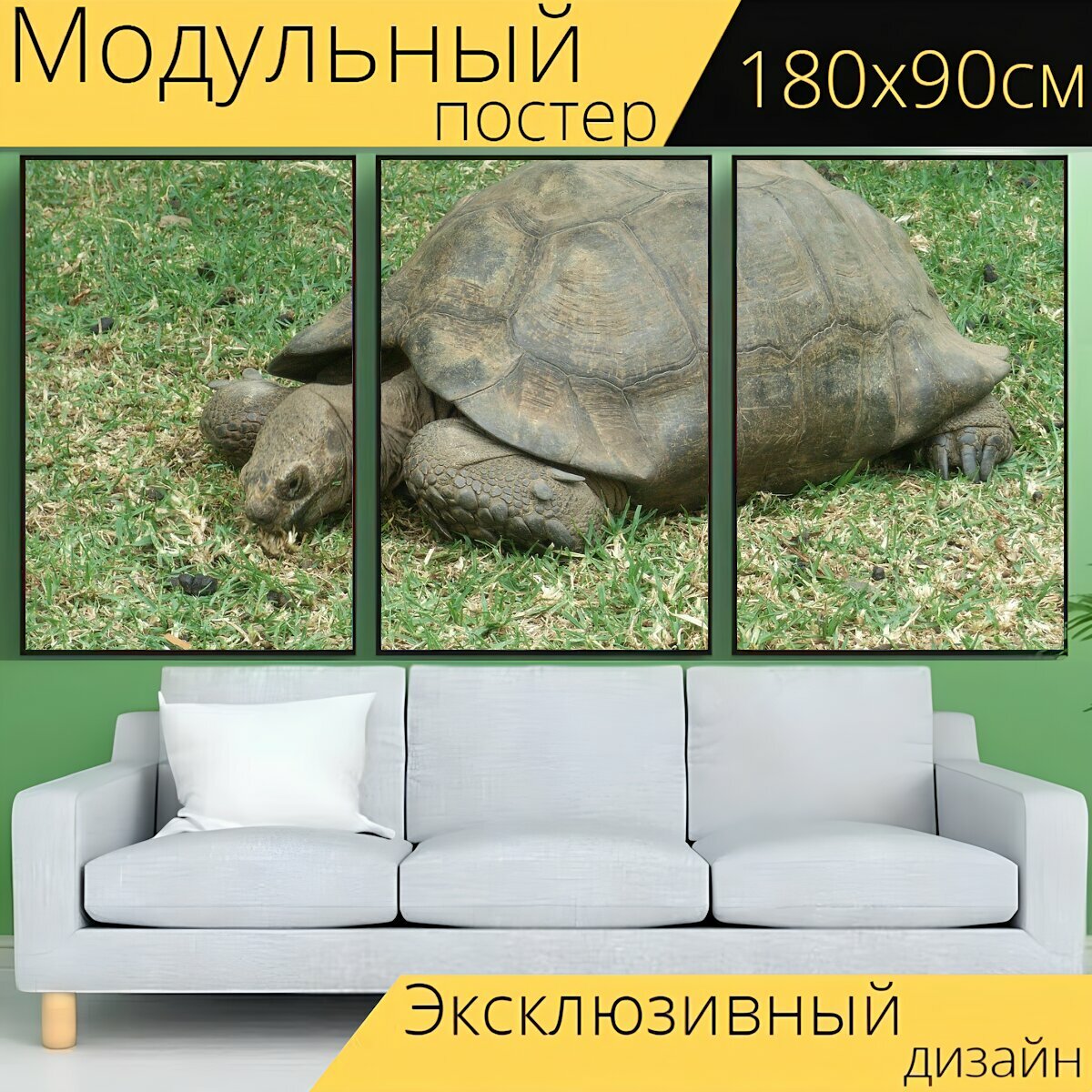 Модульный постер "Черепаха, природа, животное" 180 x 90 см. для интерьера