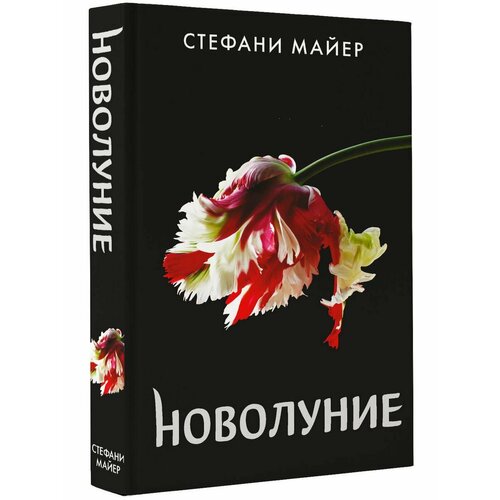 королев артем геннадьевич про завтраки новое оформление Новолуние (новое оформление)